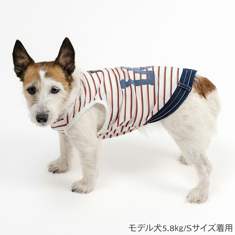 《300円OFFクーポン》【P5倍】Lee 犬 服 夏 接触冷感 タンクトップ ボーダー 小型...