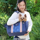 【390円OFFクーポン対象】犬 キャリーバッグ リサとガスパール であい柄 【超小型犬】 【小型犬】| 底板付き ショルダー おしゃれ メッシュ 通院 車 軽い ペットキャリー