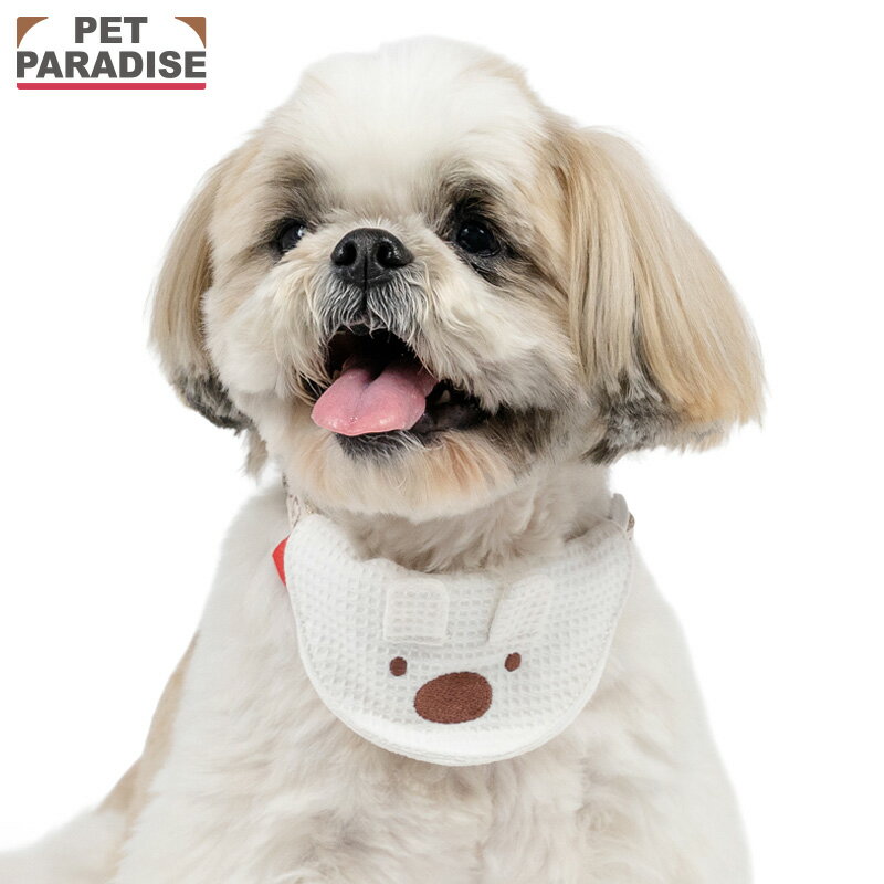 Rakuten - 《300円OFFクーポン》ペットパラダイス公式 リサとガスパール 犬 首輪 リサ スタイ付き首輪 小型犬 | ホワイト 反射 安全 安心 事故防止 おでかけ お出かけ お散歩 おさんぽ おしゃれ かわいい