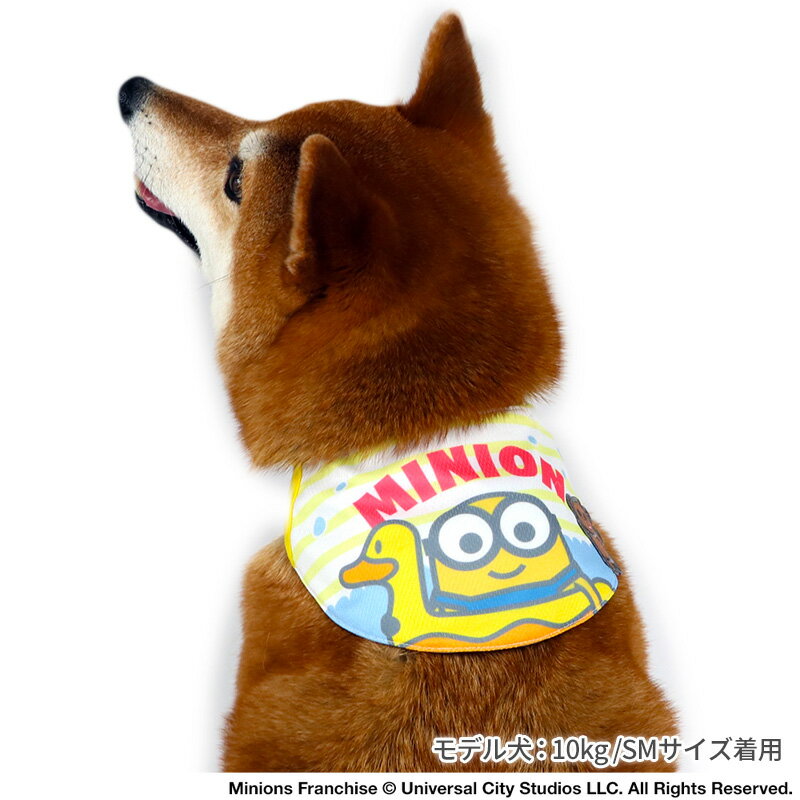 【P5倍】ミニオン セール 犬 クールネック クール 接触冷感 夏 アヒル うきわ バン...