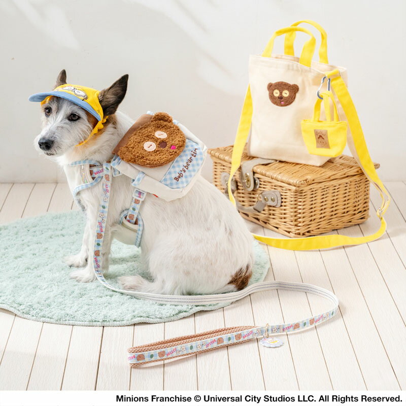 �ں���2000��OFF�����ݥ�ۡڥڥåȥѥ������������ �ߥ˥��� �ƥ��� �����꡼�� �������꡼�� ������ | �֥롼 ȿ�� ���� �¿� �����ɻ� ���Ǥ��� ���Ф��� ������ ������� ������� ���襤��