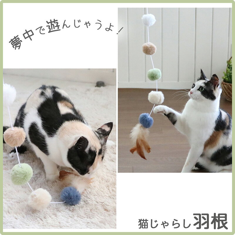 サンプル画像3