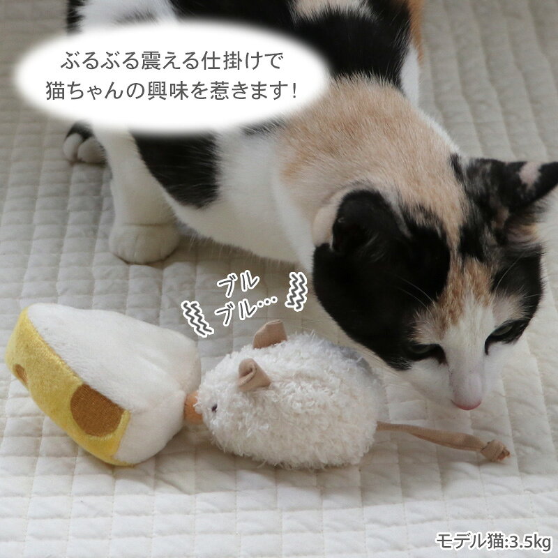 サンプル画像2
