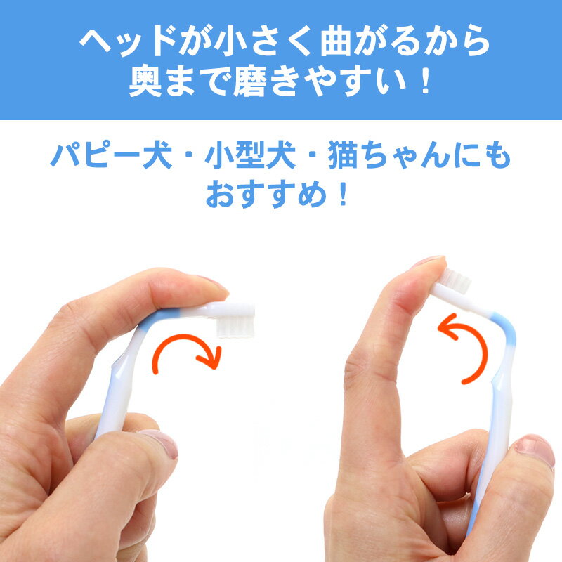 犬 歯磨き 曲がる 歯ブラシ 6本セット | ブルー 国産 送料無料 全犬種対応 犬用歯ブラシ 猫用 ペット用 歯みがき はぶらし ハブラシ 犬 口 ケア 猫 口 ケア