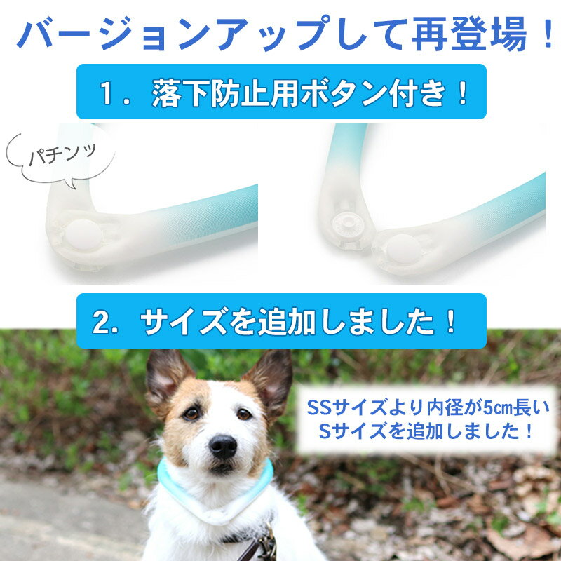 クールリング 犬 クールネック ひんやり 28℃クールリング 【3S】 | 小型犬 ネッククーラー ひえひえ ボタン付き ブルー ピンク 繰り返し 何度も使える クールネック 冷感 お散歩 アイシング 首もと冷却 暑さ対策 熱中症対策 夏 バンダナ 首掛 メール便可