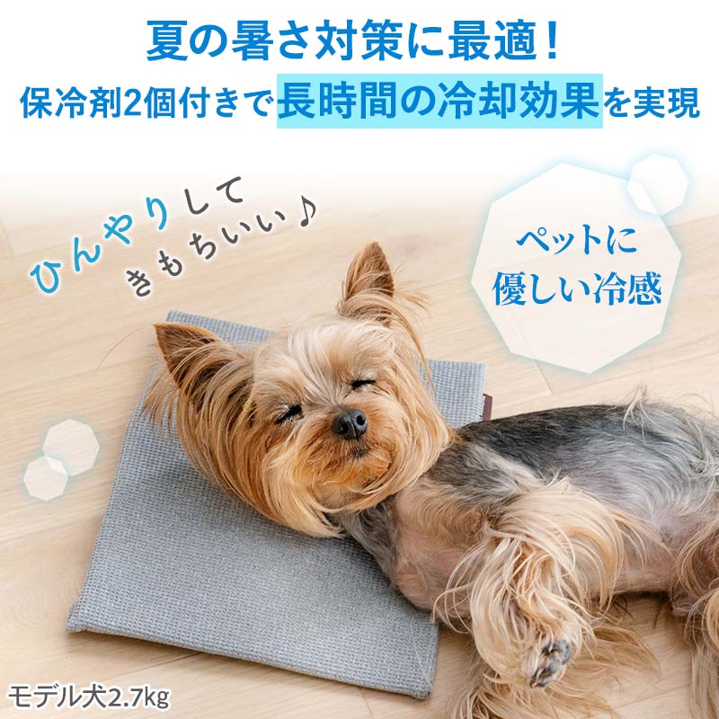 �ں���2000��OFF�����ݥ�ۡڥڥåȥѥ������������ ����� ������ޥå� �� �ڥå� ����ѥ��ȥ����顼 ������ | ��󥭥�1������ ����� ���С� �ޥå� �䴶 �ä��� ������ ǭ �䴶 �� �뤵�к� ������ ���餫 �� �Х��� �ڥåȥ����� �ڥåȥ���꡼�� ������ޥå�