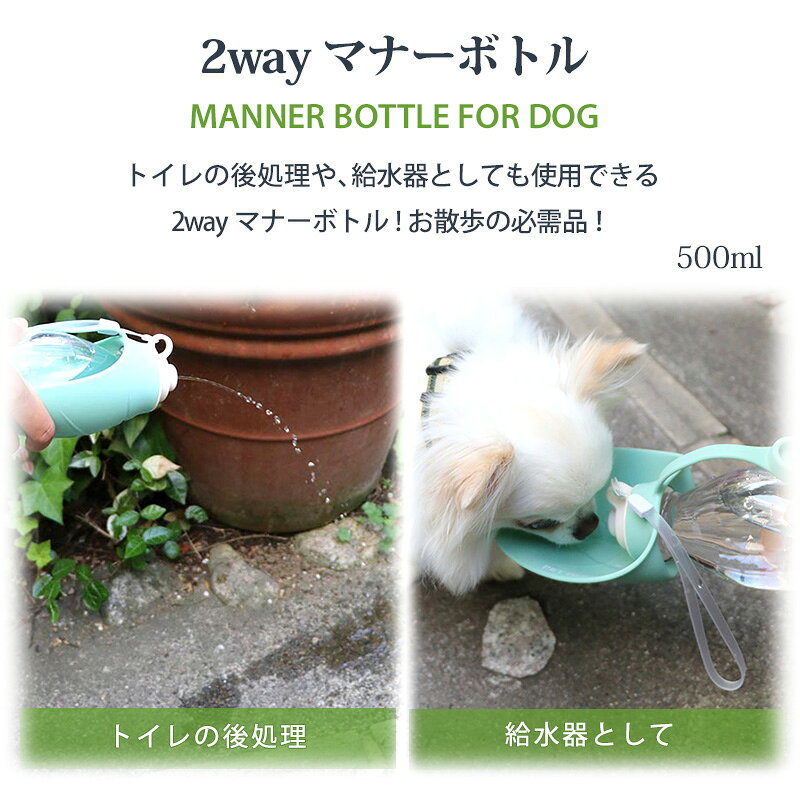 サンプル画像2