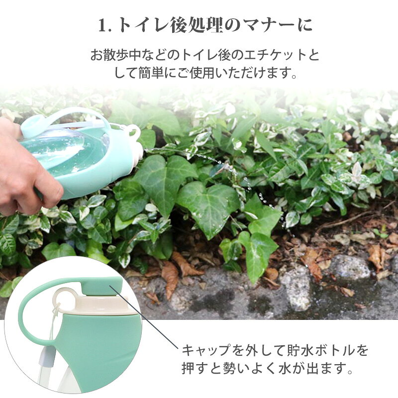 サンプル画像3