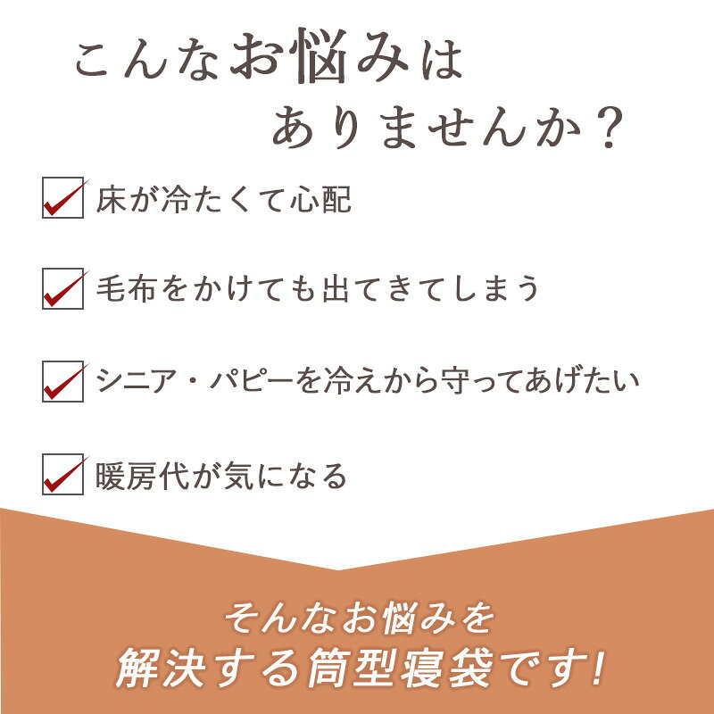 【最大2000円OFFクーポン】ペットパラダイス公式 ディズニー ミッキーマウス ミニ...
