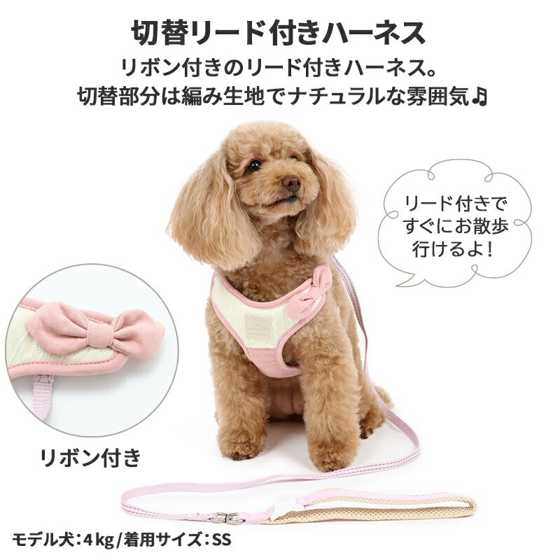 犬 セール 犬 ハーネ スリード 【S】 切替 ハーネスリード | アウトレット sale 【返品交換不可】 一体型 簡単装着 小型犬 おさんぽ おでかけ お出掛け おしゃれ オシャレ かわいい