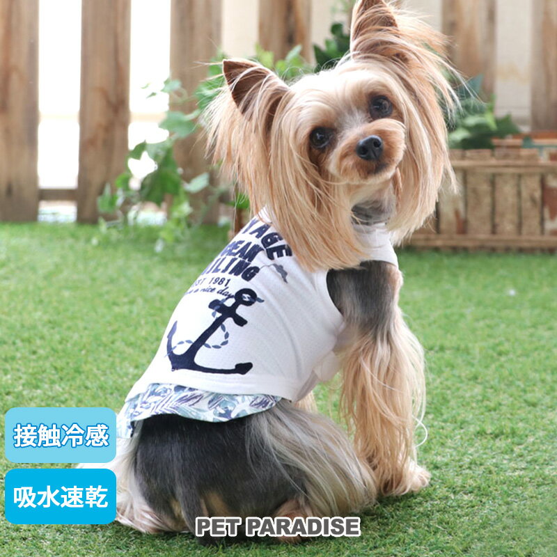 犬の服 夏 ひんやり クール 接触冷感 タンクトップ 【小型犬】 マリン | ホワイト 白 錨 犬 猫 夏服 春夏 着せやすい おしゃれ かわいい ドッグウェア 小型犬 超小型犬 涼感 冷却 吸水速乾 タッチワンクール メール便可のサムネイル