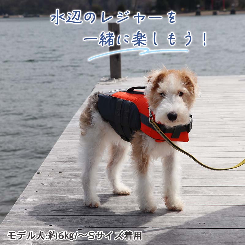 �ڥݥ����10�ܡۡ�880��OFF�۸� �饤�ե٥��� �ڥå� �ɥå������� �� ��SS?S�� | ��ͷ�� �� �ס��� �饤�ե٥��� ������ �¿� ���� �� ����� ���ä����� �����ȥɥ�