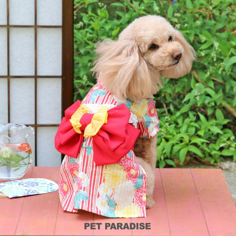 【最大2000円OFFクーポン】犬 浴衣 服 夏 菊柄 小型犬 中型犬 大型犬 | 赤 花柄 レトロ 女の子 帯付き お祭り イベント コスチューム かわいい おしゃれ 1