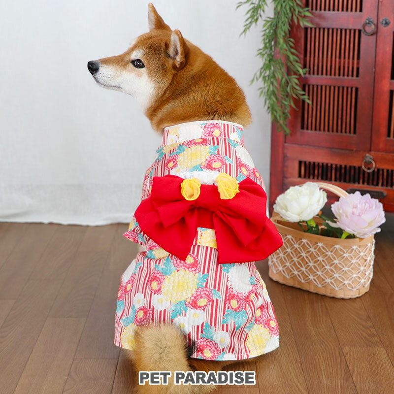 【最大2000円OFFクーポン】犬 浴衣 服 夏 菊柄 小型犬 中型犬 大型犬 | 赤 花柄 レトロ 女の子 帯付き お祭り イベント コスチューム かわいい おしゃれ 3