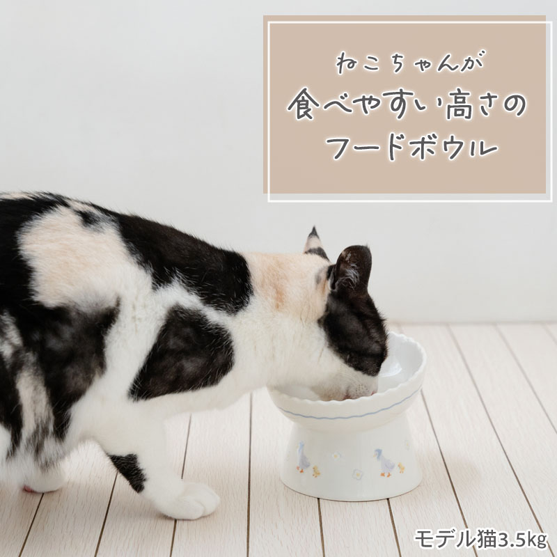 【ペットパラダイス公式】 猫 フードボウル 陶...の紹介画像2