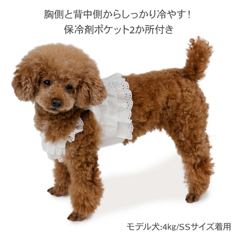 【先着で50％OFFクーポン】【20％OFF】楽天スーパーSALE ☆セール 犬 夏服 犬 服 ク...