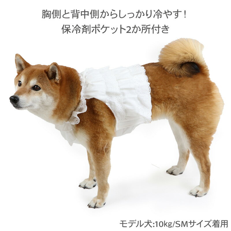 【先着で50％OFFクーポン】【20％OFF】楽天スーパーSALE ☆セール 犬 夏服 犬 服 ク...
