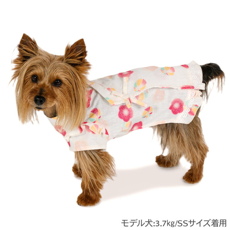 �� ������ ���� �� �� ������ �ܿ��䴶 �� �Ƥޤ��� ��ʿ ���泫�� �夻�䤹�� ������ �뤵�к� | �����ȥ�å� sale �����ʸ��Բġ� ��󥭥�1������ �ڥå� ������� ǭ ���פ� �ƺפ� �椫�� ���� ���� ���� �Ƶ٤� �ä��� ��