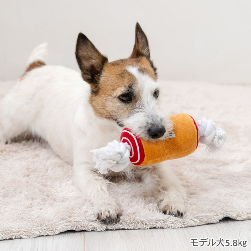 �� ������� ������ ���դ��� �� | ��󥭥�1������ �����Ĥ� ������ ������� �ڥå� �ȥ� �ڥå��� ��� TOY ������ ���襤�� ���⤷�� ���󥹥��Ǥ� �ڤ��� ���ߤ��� ���ߥ��� ���� ɳ