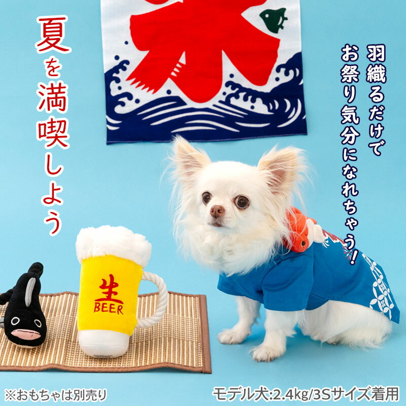 ��880��OFF�۸� ��� ���� �� �� ��� ���� ���פ� ˡ�� ������ �淿�� �緿�� | ��󥭥�1������ �֥롼 ��� ���󤮤� ���� ���� �������塼�� ���ä����� �ڥå� ���٥�� �ɥå������� �ƺפ� ���å� ǭ �ϥå� Ⱦ�� ��