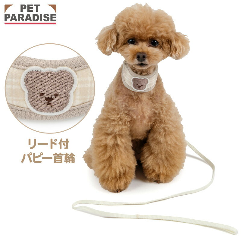 樂天商城 - 犬 首輪 リード付き首輪 くまちゃん柄 小型犬 | 一体型 おでかけ お出かけ お散歩 おさんぽ おしゃれ かわいい ベージュ