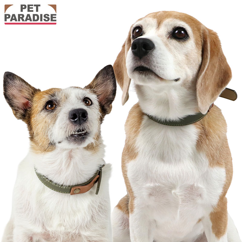 樂天商城 - 【最大2000円OFFクーポン】犬 首輪 合皮 カーキ ステッチ 小型犬 中型犬 | おでかけ お出かけ お散歩 おさんぽ おしゃれ かわいい