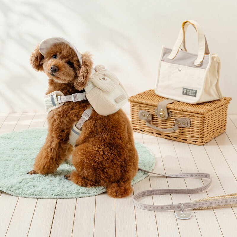 �ں���2000��OFF�����ݥ�ۡڥڥåȥѥ������������ �� �꡼�� ���ޤ��� ���㡼���դ��꡼�� ������ �淿�� �緿�� | �ۥ磻�� ȿ�� ���� �¿� �����ɻ� ���Ǥ��� ���Ф��� ������ ������� ������� ���襤��