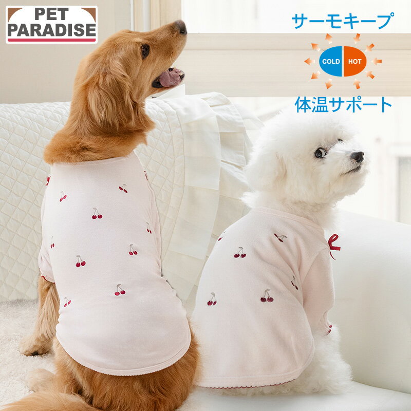 �ں���2000��OFF�����ݥ�ۡڥݥ����10�ܡۡ�880��OFF�ۡڥڥåȥѥ������������ �� �� �� �����꡼ �����⥭���� T����� ������ �淿�� �緿...