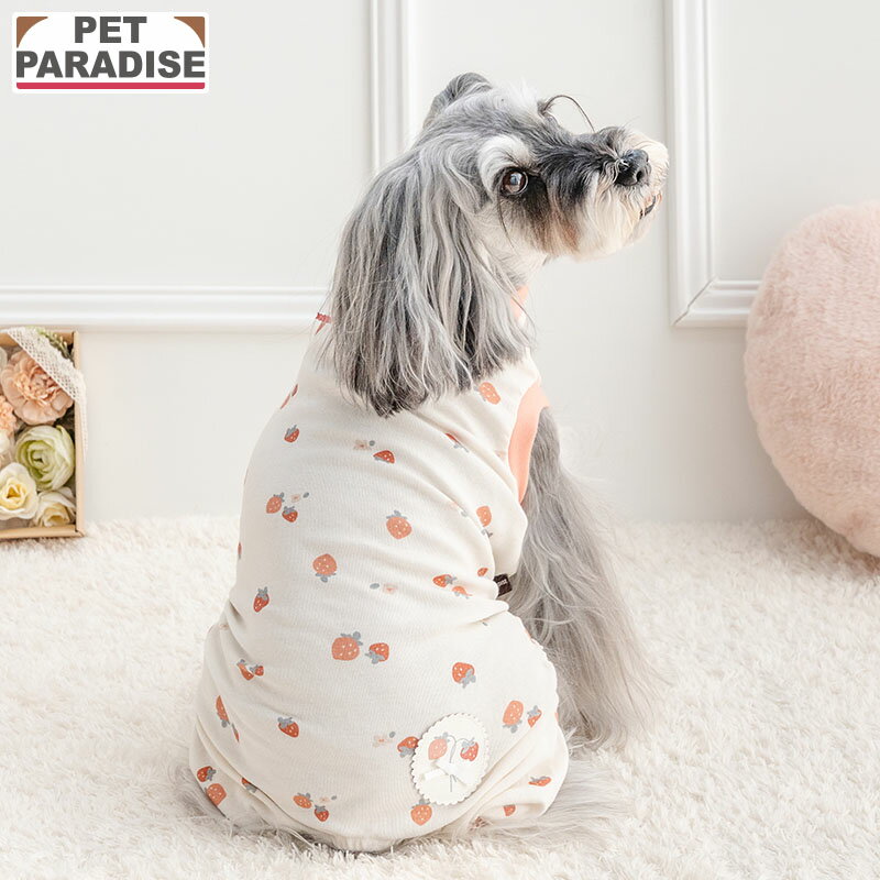 �ڥڥåȥѥ������������ �� �� �� ������ �䤵���� ����ѡ��� ������ | �ۥ磻�� µ�ʤ� �Ϥ���� �ѥԡ� ���餫 �֥��� ����...