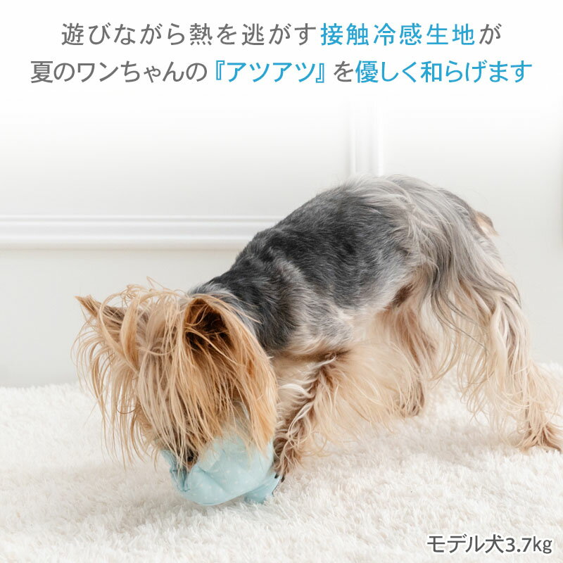 【ペットパラダイス公式】 犬 おもちゃ 貝殻 クール トイ 音が鳴る | ブルー らっ...