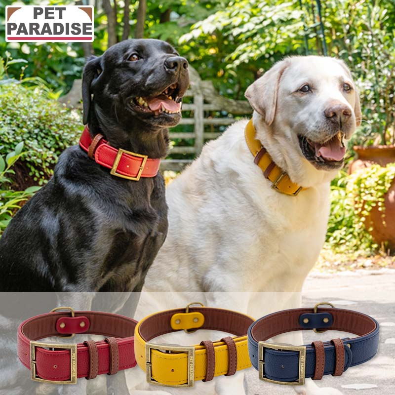 犬 くびわ おさんぽ 散歩 おでかけ お出掛け おしゃれ オシャレ かわいい メーカー希望小売価格はメーカーカタログに基づいて掲載しています適応首囲 参考標準犬種(体重の目安) テープ幅 M 約35～40cm ボーダーコリー、ダルメシアン（～18kg） 約3.5cm L 約42～48cm ゴールデンレトリバー、ラブラドールレトリバー（～38kg） 約3.5cm サイズ展開 M/L 主素材 合成皮革 ご注意 * 犬以外には使用しないでください。 * この商品は散歩用です。係留には絶対に使用しないでください。 * 装着した状態で長時間放置しないでください。 * 事故防止の為、表示している適応サイズ以外の犬には使用しないでください。また、適応内であっても犬の力が強いと判断される場合には使用しないでください。 * 噛むと切れたり破損する為、噛ませないようにご注意ください。 * 安全にお使い頂く為に使用上の注意事項をよくお読みください。