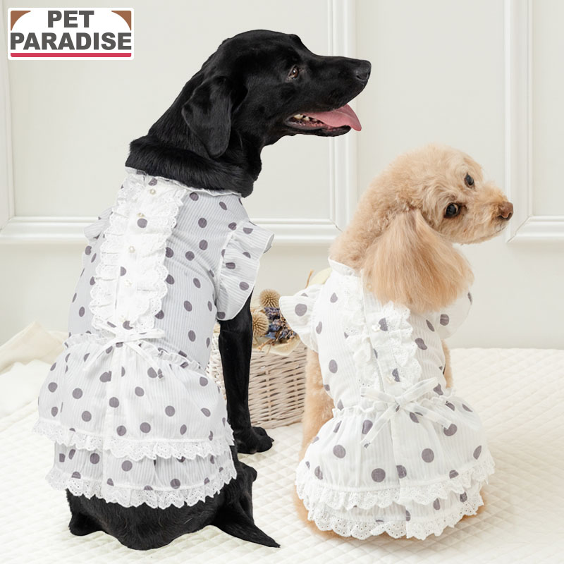 楽天市場】背中 開き（ワンピース｜ドッグウェア）：犬用品<ペット