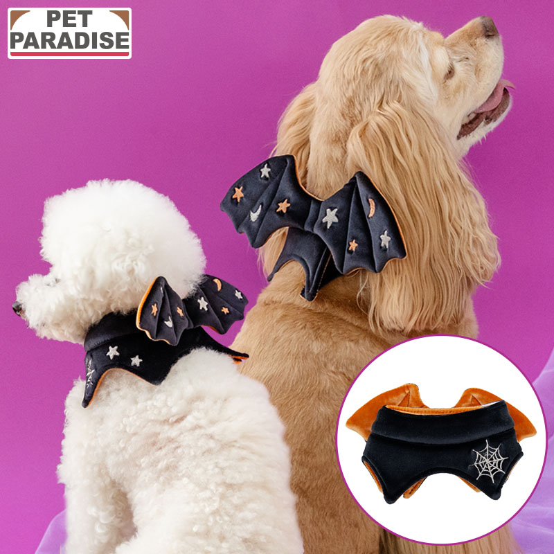ペットパラダイス公式 ハロウィン コスチューム コウモリ なりきり チョーカー 小型犬 中型犬 大型犬 ブラック | 仮装 コスプレ カジュアル お散歩 おしゃれ かわいい