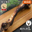 鹿骨 数量限定 犬 おやつ 純国産 鹿 げん骨 デンタルおやつ Lサイズ | ランキング1位入賞 限定製造 ハードタイプ ほね 間食 シカ 信州産 長持ち 噛む...