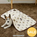 【最大2000円OFFクーポン】【楽天スーパーSALE】ディズニー プルート ミッキー 犬 ブランケット (90×60cm) 冬用 | アウトレット sale 【返品交換不可】 ミッキー やわらか 保温 暖かい 防寒 防寒対策 おしゃれ かわいい