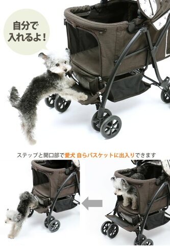 目のつけ所が中型犬 バギーでしょ 目のつけ所が中型犬 バギーでしょ