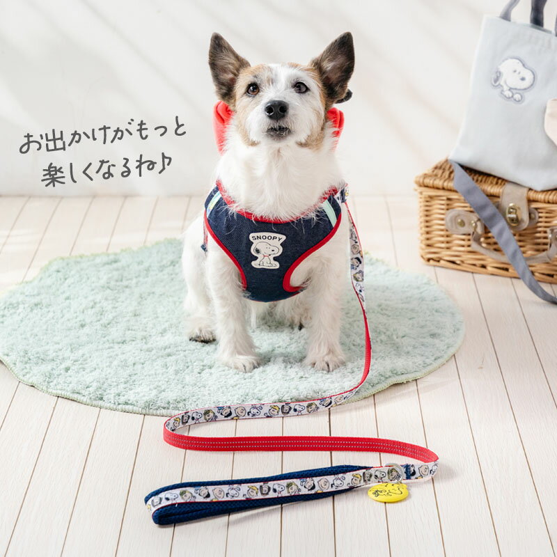 �ں���2000��OFF�����ݥ�ۡ�880��OFF�ۡڥڥåȥѥ������������ ���̡��ԡ� �� �ϡ��ͥ� ���å��դ� �ʤ��褷�ϡ��ͥ� ������ �淿�� �緿�� | ��å� ȿ�� ���� �¿� �����ɻ� ���Ǥ��� ���Ф��� ������ ������� ������� ���襤��