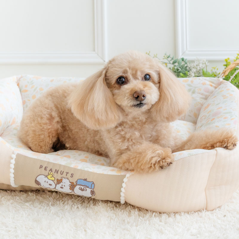 ペットパラダイス公式 スヌーピー 犬 ベッド のほほんカドラー （57×45cm） | はじ...
