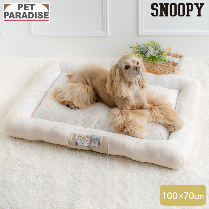 ��880��OFF�ۡڥڥåȥѥ������������ ���̡��ԡ� �� �٥å� �Τۤۤ󥫥ɥ顼 ��100��70cm�� | �Ϥ���� �ѥԡ� �դ�դ� ������� ���襤�� ...