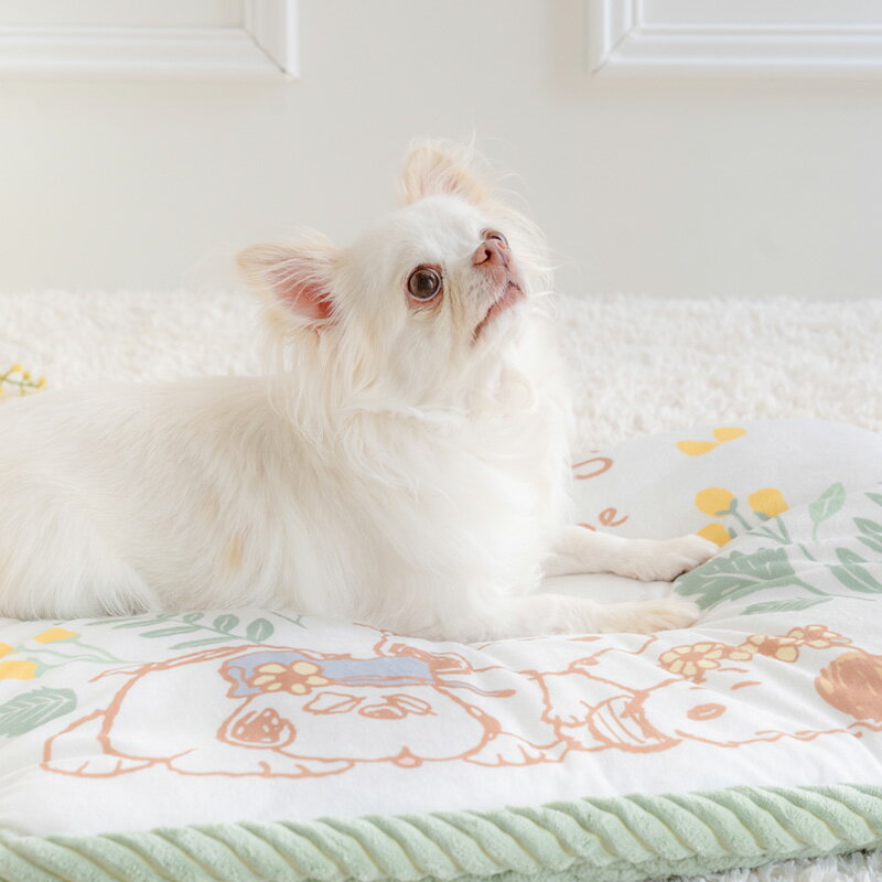 �ڥڥåȥѥ������������ ���̡��ԡ� �� �٥å� �Τۤۤ�ޥå� | �ܥ� �Ϥ���� �ѥԡ� ������ �ڥå� �٥å� ���� ���襤�� ������� �İ���