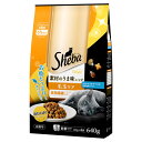 マース シーバ ディライト 素材のうま味レシピ 毛玉ケア 640g(キャットフード シーバ)