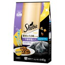 マース シーバ ディライト 素材のうま味レシピ 下部尿路ケア 640g(キャットフード シーバ)