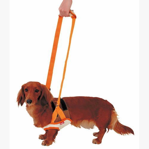ڥƥ Ϸ ϡͥ ­ M7kgޤǤξ ݡȡ