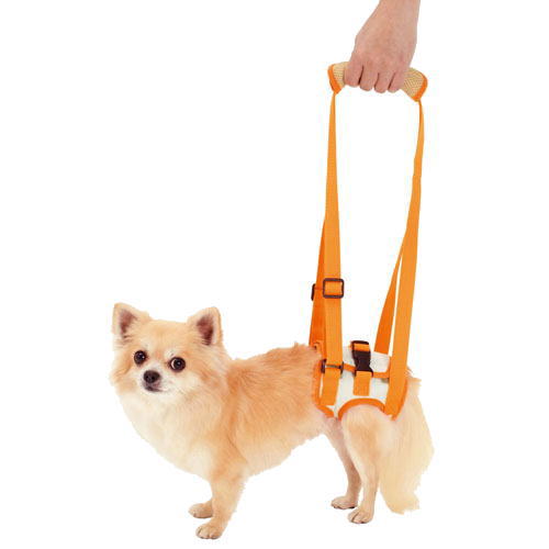ペティオ 老犬介護用 歩行補助ハーネス 後足用 Sサイズ（4kgまでの超小型犬用 サポート）