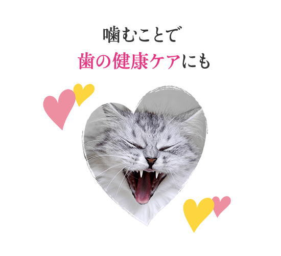 �ͥ��� ���ץ� ���ꥹ�ԡ����å� �������������󥻥쥯�� 30g�ʥ���åȥա��� ����ġ�