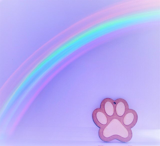 �ڥå�ʩ����켰�ߥ˥����ס����������������������դ���