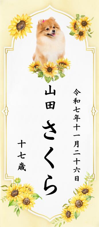 ���ۥ͡��ॷ����ڲ�����̾������̿����ǯ�����������ޤ�(���������)