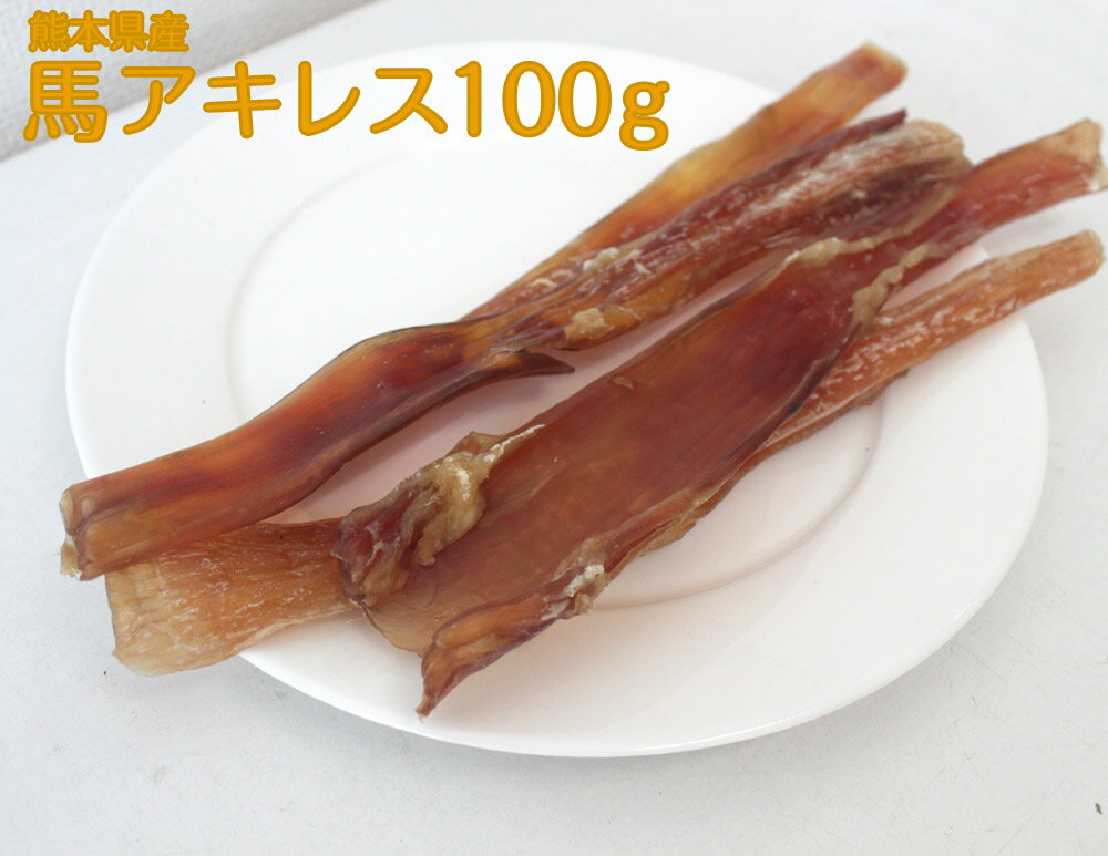 熊本産 馬アキレス 100g 犬 おやつ 無添加 国産 低脂肪 低アレルギー ハードガム 犬用おやつ ドッグフード デンタルケア