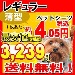 【セール価格】ペットシーツ レギュラー 薄型 800枚 犬、猫問わず使えて経済的！ 多頭飼いに...