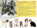 無添加 犬猫おやつ 高知県産減塩かえり煮干し 20g 国産